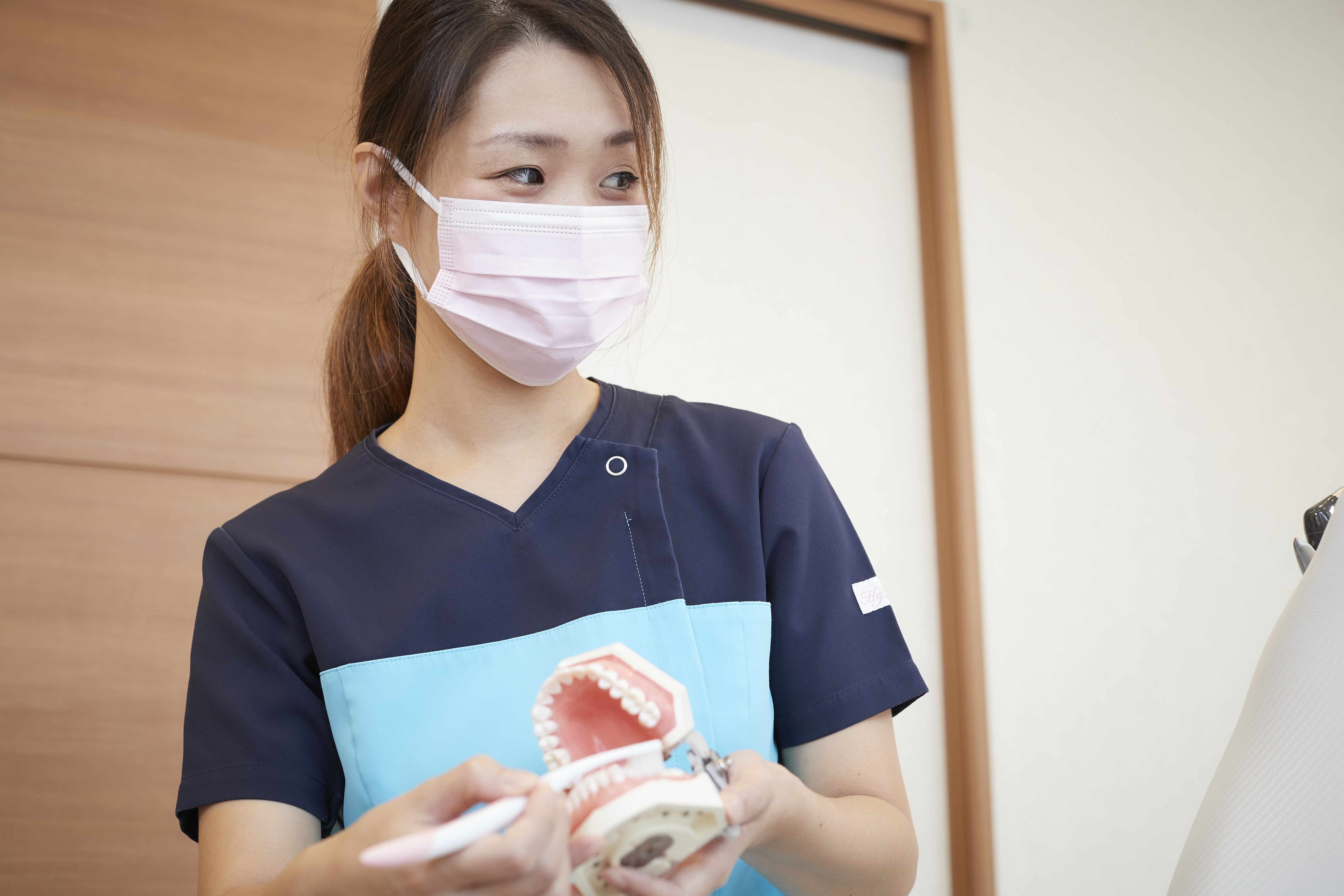 予防歯科とは|歯石除去・歯石とりなら神戸三宮谷歯科クリニック